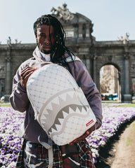 MONEY PATTERN POWDER BACKPACK (DLXV)
