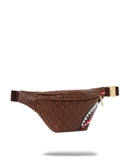 CASHIN CHECKS SAVVY CROSSBODY