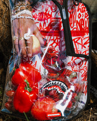 CLEAR BACKPACK - DIABLO GALLERY