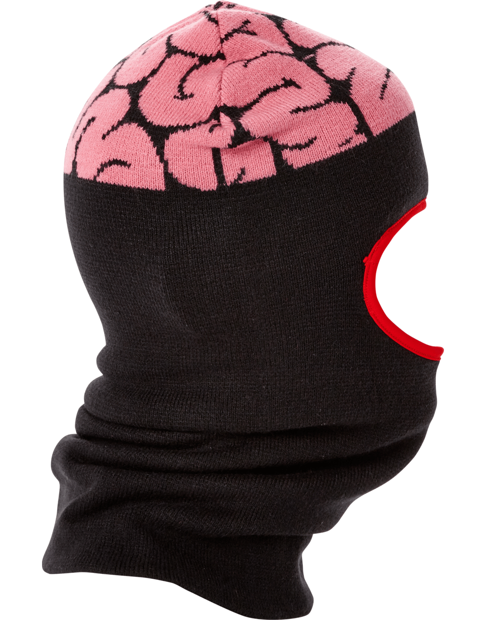 BRAIN MATTER SKI MASK