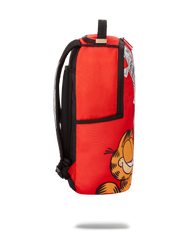 GARFIELD CAT SCRATCH (DLXR)