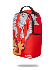 GARFIELD CAT SCRATCH (DLXR)