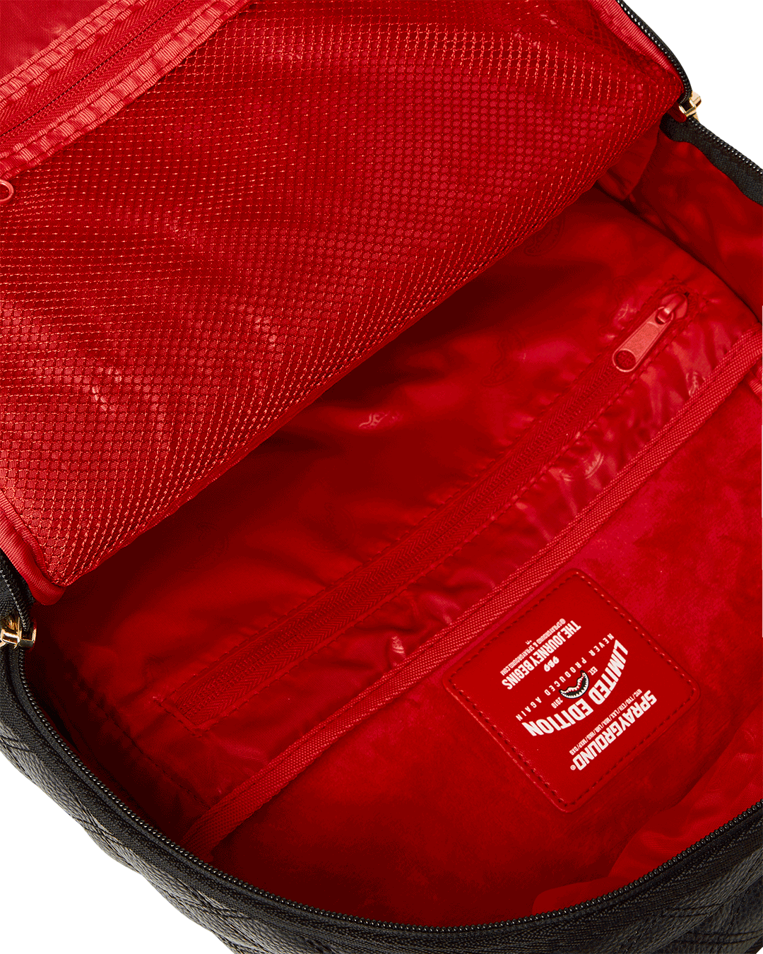 CATWALK CURRENCY BACKPACK (DLXV)