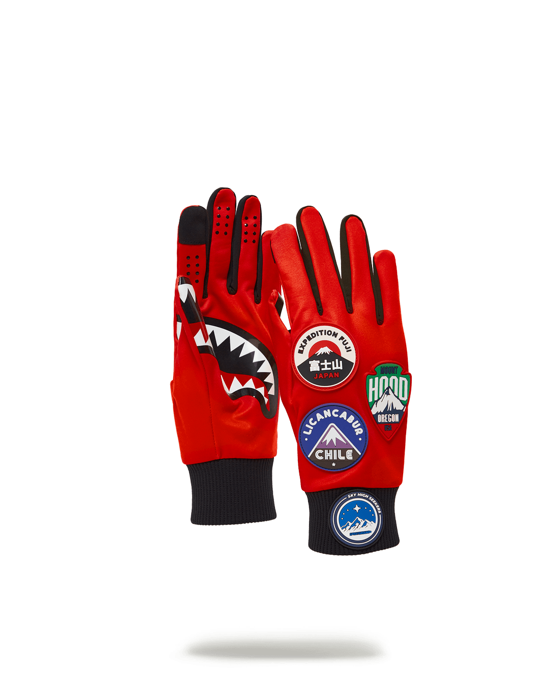 THE GLOBAL EXPEDITION GLOVES