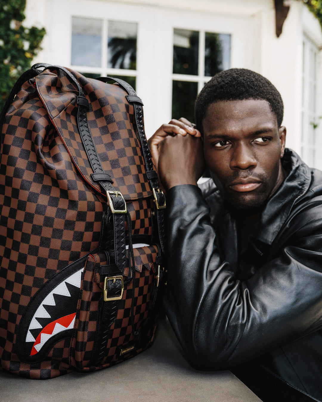 SAWTOOTH SHARKS IN PARIS HILLS BACKPACK