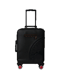 CHECKPOINT ROYALE CARRY-ON LUGGAGE